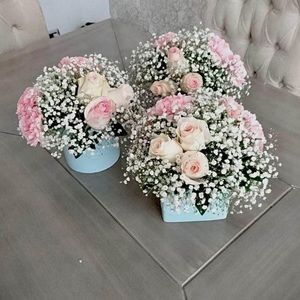 Meet your Posher, Dalia